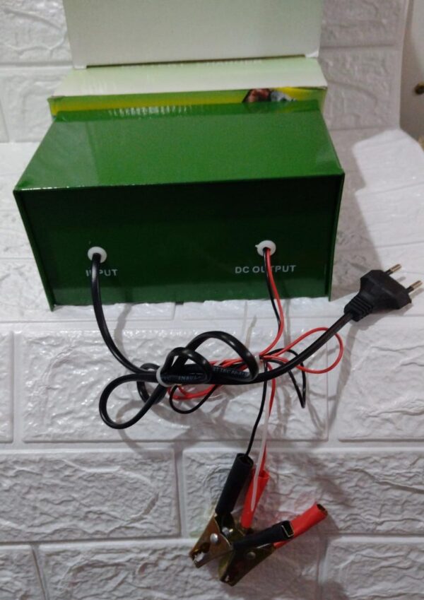 CARGADOR DE BATERIA DE X01 DE 12 A 6 V - Imagen 3