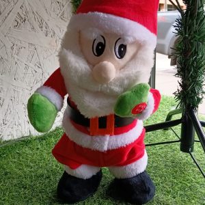 VIEJO PASCUERITO BAILARIN