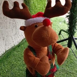 RENO PASCUERO BAILARIN